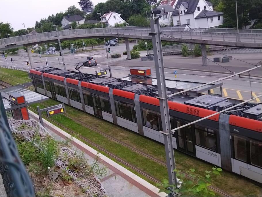 Kjellerleilighet I Fana Til Leie-Med Gratis Parkering Og Mange Kollektiv Reisemuligheter Bergen Extérieur photo